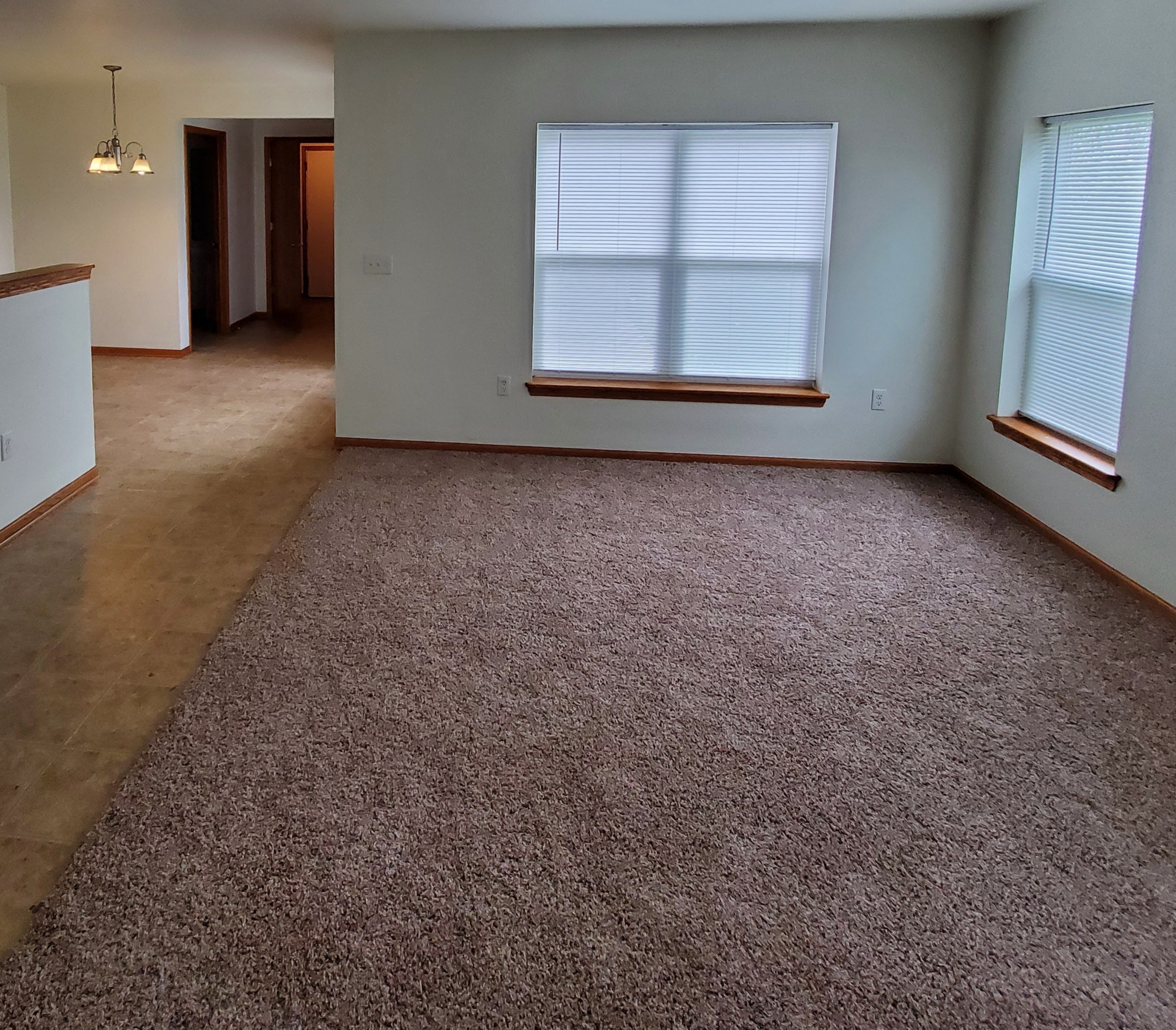 Gallery Photo 5